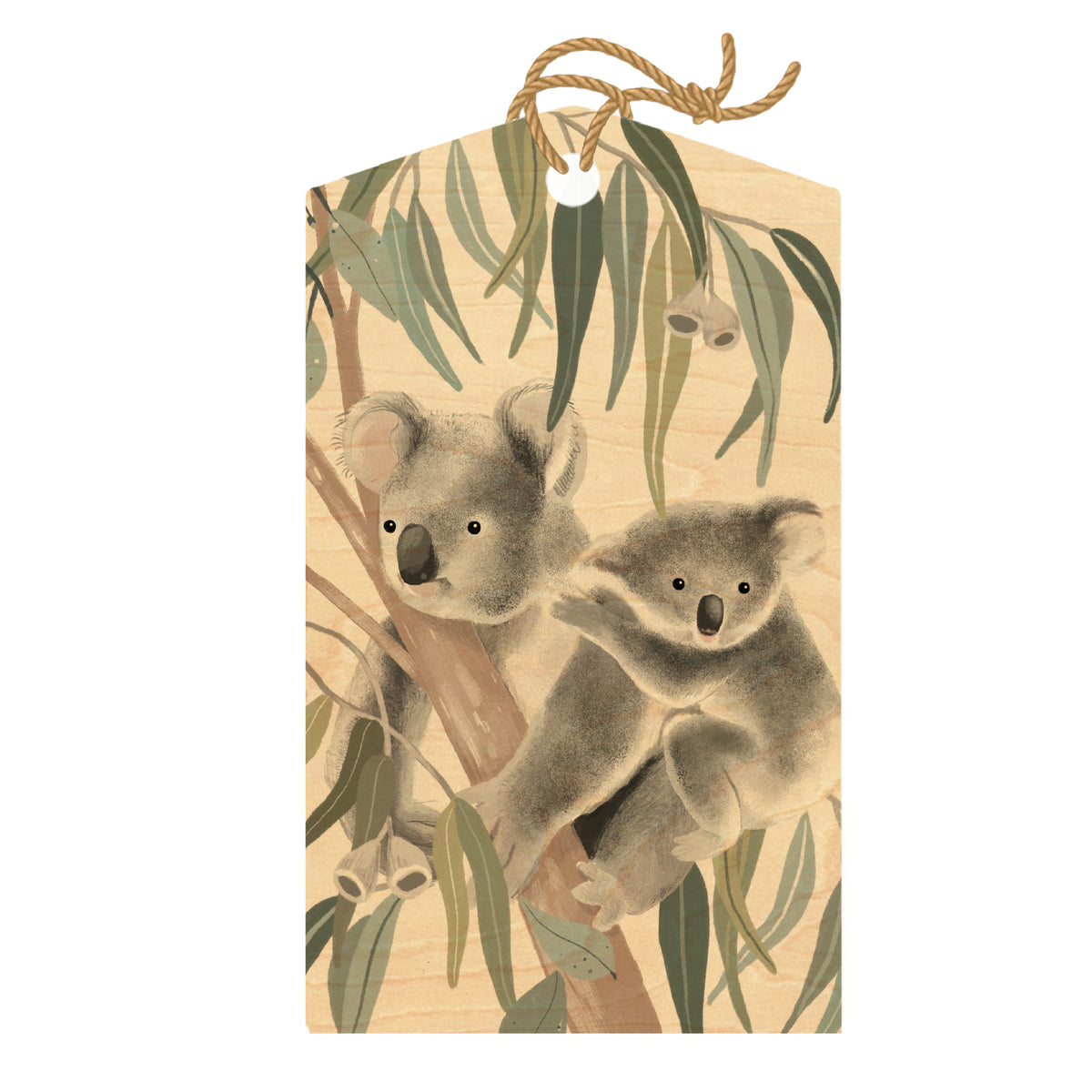 Koala Maple Wood Gift Pack