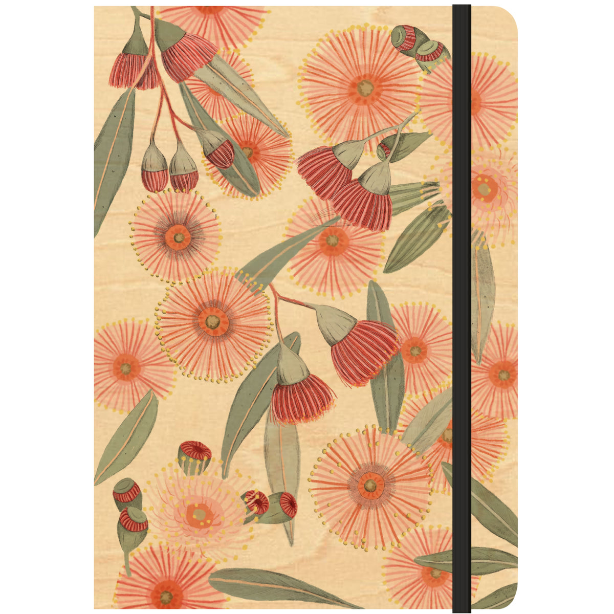 Red Eucalyptus Burst Maple Wood Gift Pack