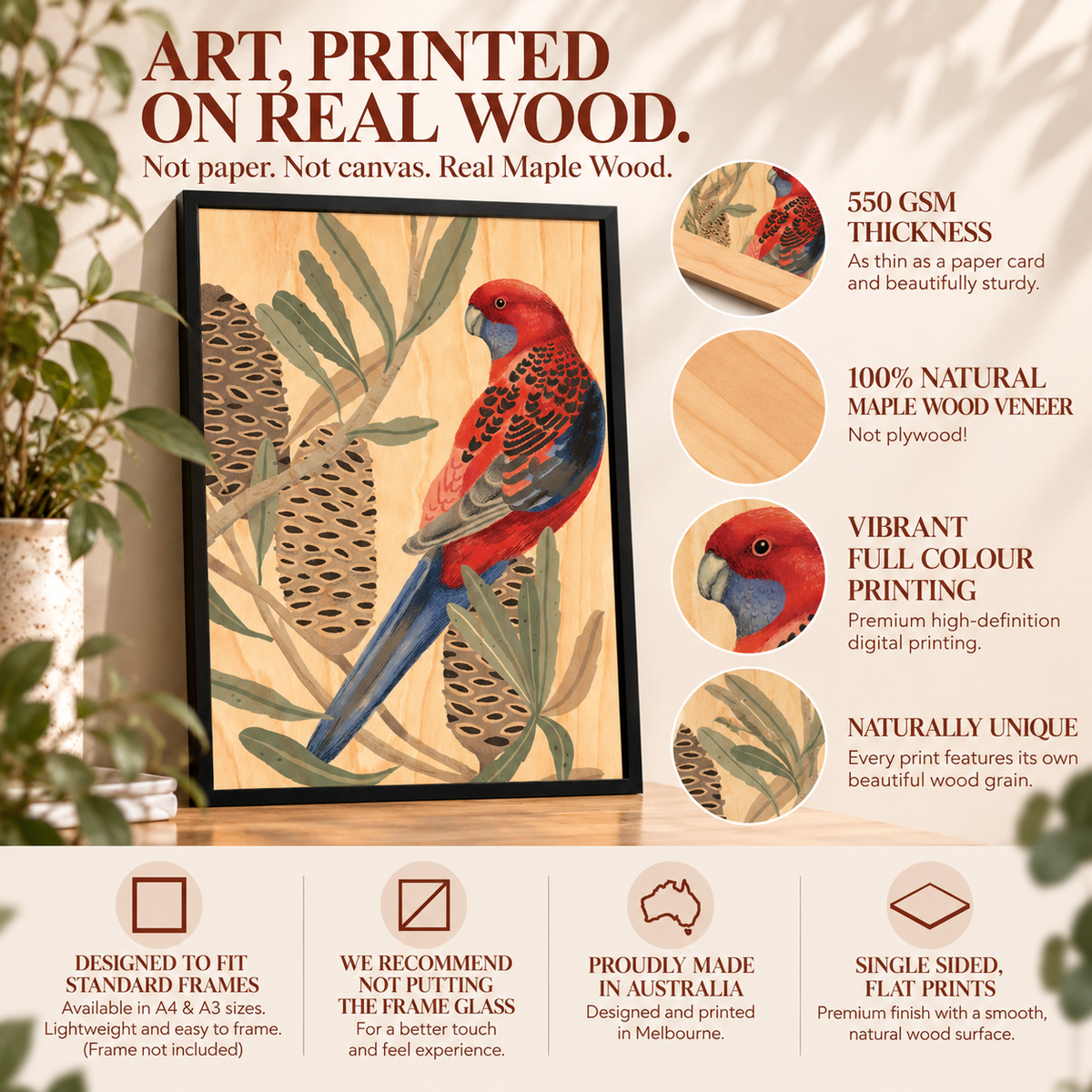 Wood Art Print - Rosella with Banksia